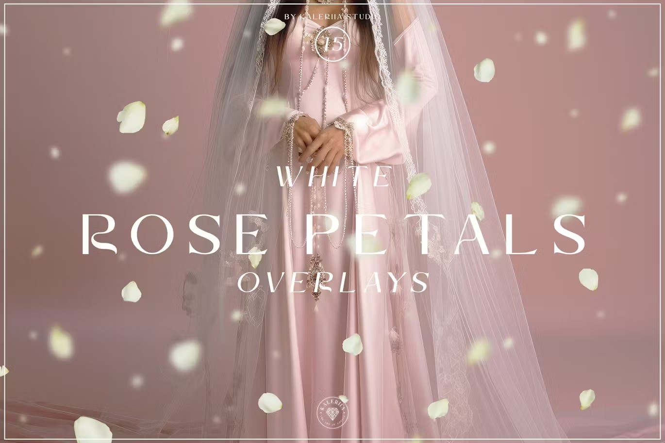 White Rose Petals Overlays — Teletype