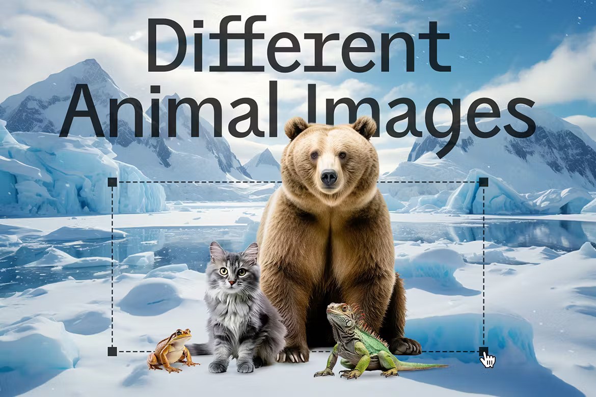 Animal Collage Creator — Teletype
