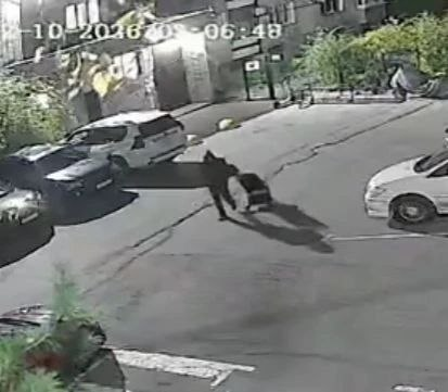 Полиция Хабаровска задержала будущего отца, укравшего коляску для подарка жене