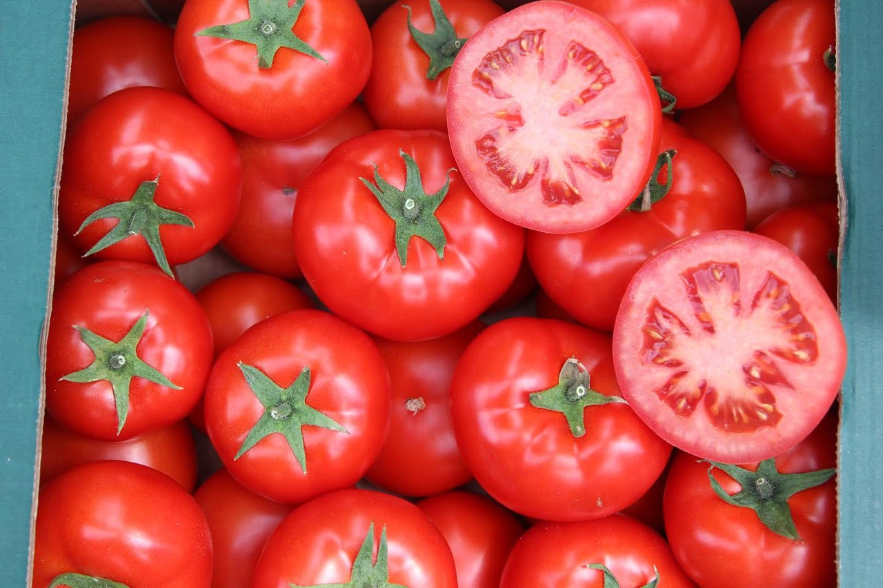 Первые семена томаты. Томат Прима-66 f1. Томат Улиссе f1. Семена помидоров f1. Dalia f1 помидор.