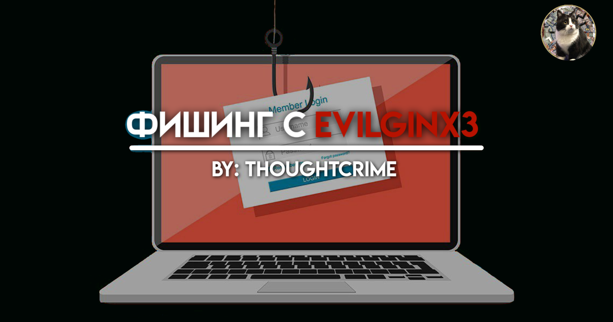 Гайд по использованию Evilginx3 — Teletype