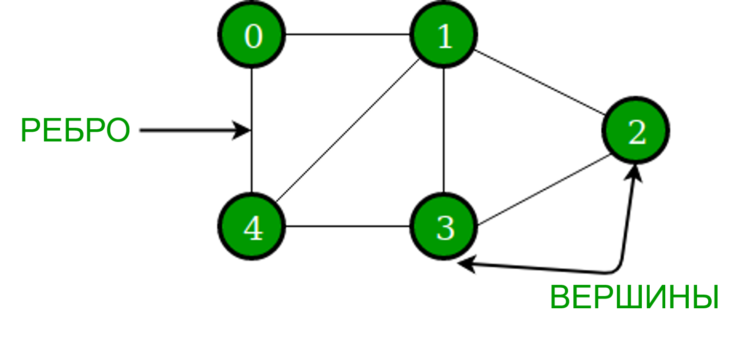 Графы сети деревья. Graph data