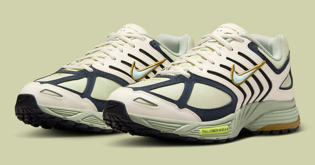 Новый цвет кроссовок Nike Pegasus 2005 — Teletype