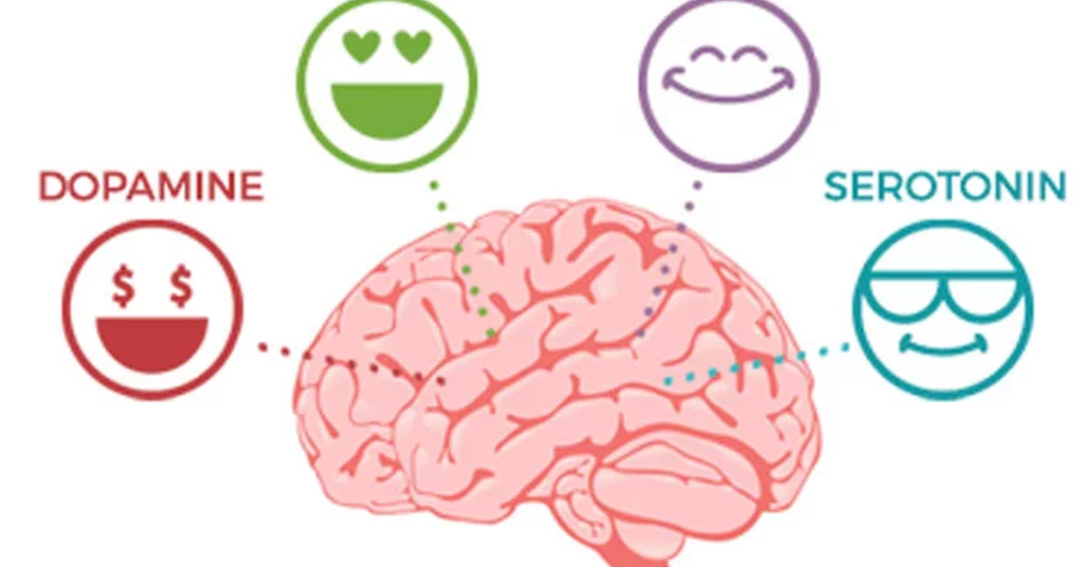 Эндорфины мозга. Гормоны счастья. Дофамин серотонин Эндорфин окситоцин. Серотонин гормон радости и счастья. Дофамин мозг.