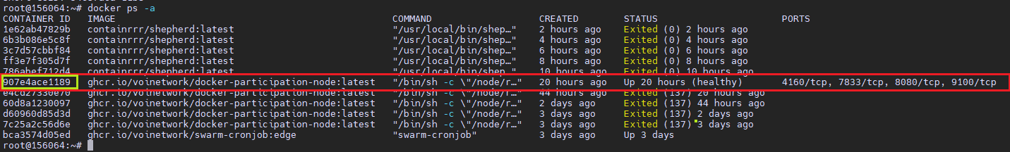 Voi Network | Testnet | Node Guide by SCAMEIKA — Teletype